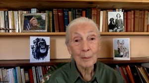 Dr. Jane Goodall discusses her mission to save the world's forests