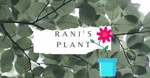 "Let's Plant Our Green Friends"- Lesson plan and interactive activities.