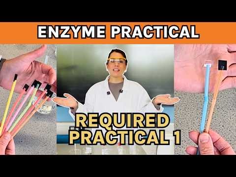 Required Practical 1 Biology | Enzyme Controlled Reactions A-level Biology