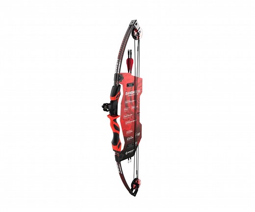 Barnett Banshee Youth Compound Bow - Walmart.ca