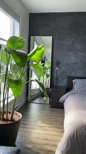 New concrete wall using Les Enduits Art Béton ✨ #diy #diyproject #bedroommakeover #concretewall #transformation #beforeandafter