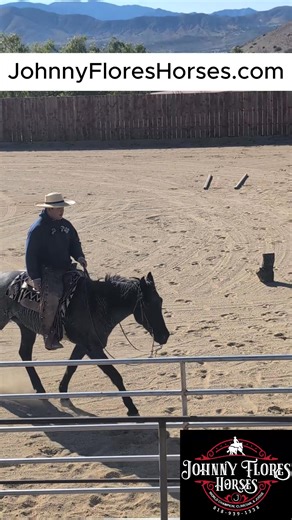 𝐓𝐫𝐨𝐭 𝐃𝐞𝐩𝐚𝐫𝐭𝐮𝐫𝐞 𝐰𝐢𝐭𝐡 𝐚 𝐦𝐨𝐫𝐞 𝐖𝐨𝐚𝐡 𝐭𝐡𝐚𝐧 𝐆𝐨 𝐤𝐢𝐧𝐝 𝐨𝐟 𝐇𝐨𝐫𝐬𝐞. Full video is in Ranch Trail Master Class Online. Visit my website to sign up! 🎄Christmas Special!! 🎄Good from NOW until Dec 31st -𝐆𝐄𝐓 𝟓𝟎% 𝐨𝐟𝐟 my Online course with this coupon "𝐃𝐄𝐂𝟐𝟓" . (Only $23) | Johnny Flores Horses