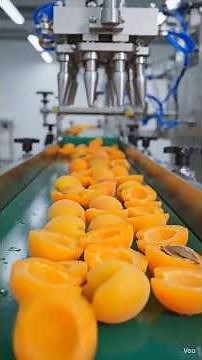 How fresh Apricots turn into delicious jam 🍑🍑 #tasty #fruitjamrecipe #apricots