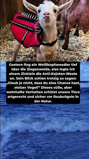 Zicklein vs. Adler: Der coolste Schutzanzug der Welt! 🐐🦅
