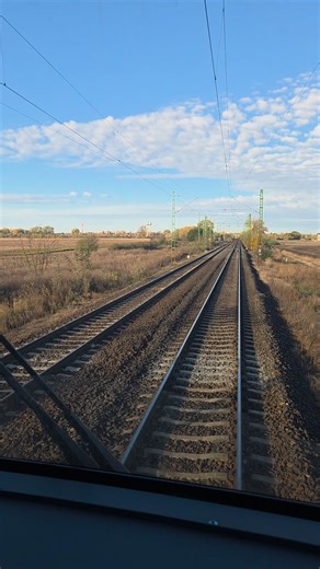 Cegled delta | Tamás László Kicska