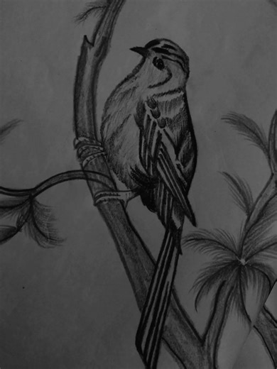 #Realistic Skatch pencil tutorial