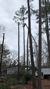 Getting em’ down! Stay tuned for the after pics  | RJ's Tree Service, LLC | Facebook