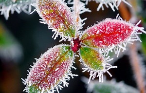 Breakdown: Why temperature is key in frost formation