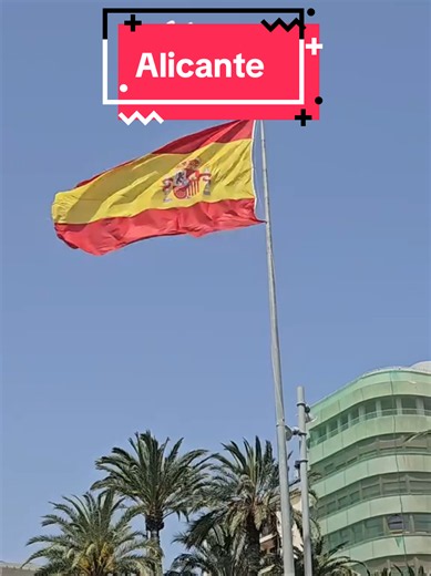 If you haven't been to Alicante, this is what you're missing out on! 😍 Beautiful buildings, lovely beach, amazing views from the castle, colourful old town, museums, shops, indoor market, and lots more. We love living so close to Alicante, always a great day out 😃 What's your favourite thing to do in Alicante? #Alicante #Spain #CostaBlanca #travel #traveltok