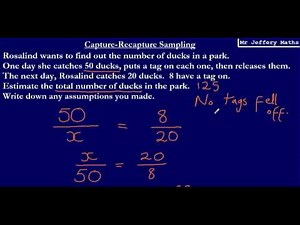 Capture Recapture - Estimating Populations (GCSE Maths 9-1)