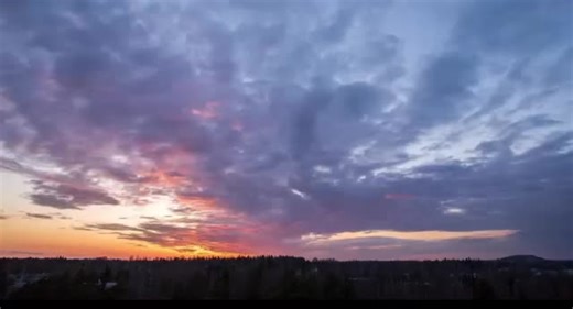 #والله خوووفي 👌🏻 #طرابلس_بنغازي_المرج_البيضاء_درنه_طبرق #ليبيا_طرابلس_مصر_تونس_المغرب_الخليج #الشعب_الصيني_ماله_حل😂😂 #fyp