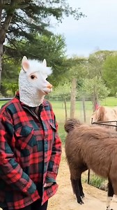 1.3K views | My first day at the company | Reparation programmation automobiles | Facebook