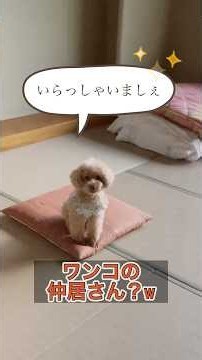 2026年7月20日、1泊で那須塩原へオトメ夫婦と義姉３人と犬2匹で行ってきました。宿は大江戸温泉物語プレミアム那須塩原わんわんリゾートです。