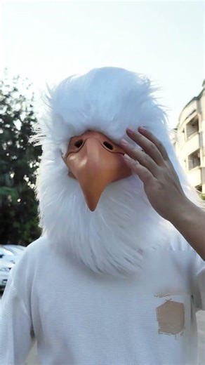 This Eagle is Too Cool! 🤘 Rock & Roll Never Dies [PATYGR]