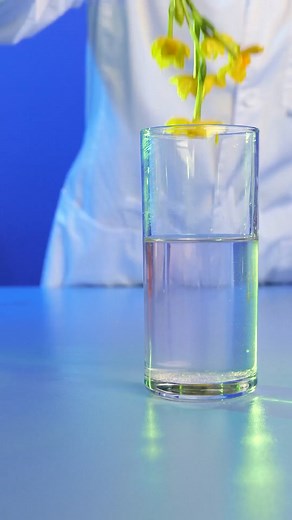 Science water experiments that really work. Try them yourself! | Patch it