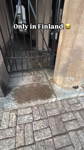 Only in Finland: Unique Moments Captured