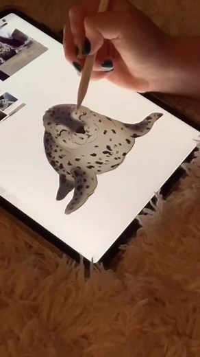 Happy sad seal digital drawing inspired by cute animals