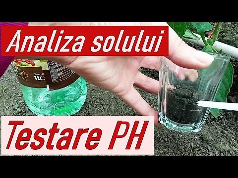 Analiza solului. Testare PH în solar, la roșii