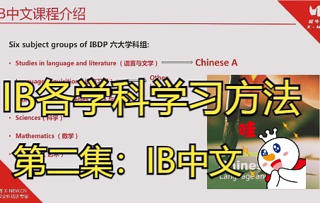 听大神剖析IB中文学习方法，豁然开朗