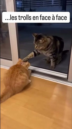 Les trolls sur Internet vs en face à face