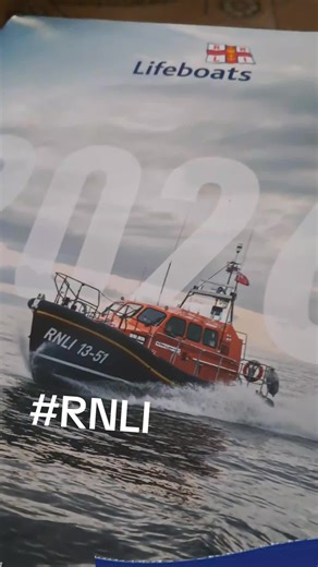 Me and Buddy support the RNLI #RNLI #labrador #buddy #servicedog @RNLI