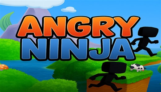 Angry Ninja sur Steam