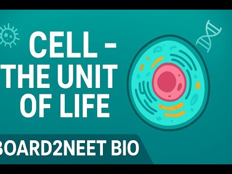 Class 11 Biology | Chapter–8 Cell Structure and Function | NCERT + NEET Explanation | Board2NEET BIO