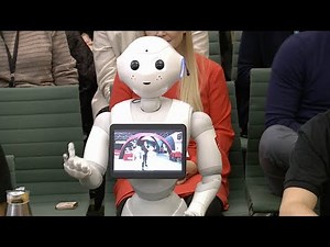 Pepper the robot appears before British members of parliament