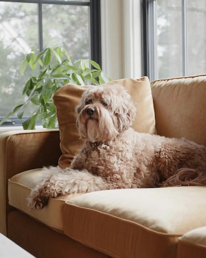 A to-the-floor, platform sofa that's customizable in 100 fabrics (including pet-friendly options) and multiple configurations. Customize the James collection. | Interior Define