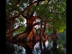 Alabanzas a YAHWEH-YAHSHUA