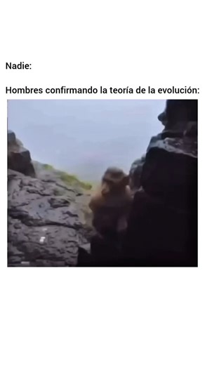 Videos Locos on Instagram: "Usa mi código promocional 1xlocos1x para recibir el bono"