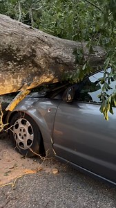 6.3K views · 69 reactions | A family is safe after a tree fell on their SUV smashing into the roof on Sunday evening after lightning struck a tree in Vestavia Hills. Tristan Ruppert WBRC has the story. tinyurl.com/27jj3z7r | WBRC 6 News | Facebook