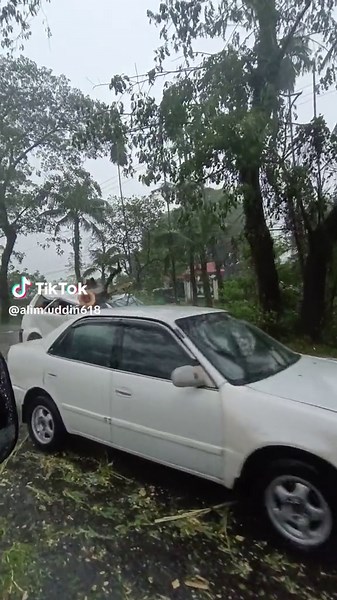 Tropical Storm Damage: Vehicles Hit by Falling Branches
