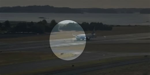 VIDEO: Plane strikes deer on Kodiak runway, grounds Alaska Airlines flights