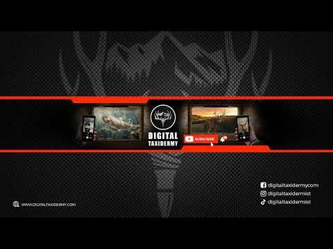 The Digital Taxidermy Guy