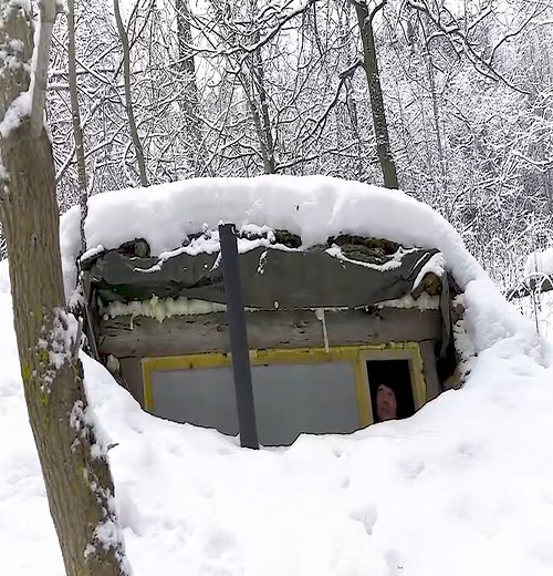 48K views · 608 reactions | For 24 hours, I was able to survive the extreme arctic conditions in a Russian log cabin. | Thomas Wilderness | Facebook