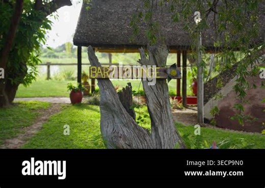 Hand painted wooden Bar and Lounge sign on tree stump indicating directions in safari lodge garden in Namibia, Africa, rustic charm and natural tourism Stock Video Footage - Alamy