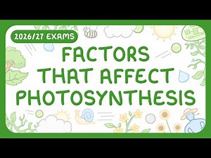 GCSE Biology - Factors Affecting the Rate of Photosynthesis | Limiting Factor Graphs (2026/27 exams)