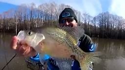 15K views · 90 reactions | Cramped by high wind we almost lost a day fishing in Northern Louisiana. However, long and slender Lake Bistineau provided refuge. We overcame the conditions to land quality crappie between Shreveport and Ruston. Watch this episode of Pautzke Outdoors to see how you can, too! *Fire Dye is now avialable at most Louisana Walmart locations | Pautzke Bait Company | Facebook