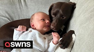 Indecisive couple let their dog choose their baby's name