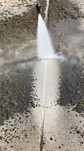 Have you ever used one of these? 🤔 #shorts