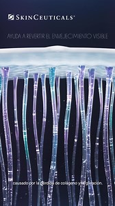 Disminuye visiblemente hasta 5 tipos de arrugas en el rostro con nuestra potente crema correctiva A.G.E. Interrupter Advanced. | SkinCeuticals