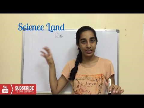 Chitin | What is chitin? | Chitin biochemistry | Science Land