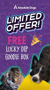 10K views | Pssst… have you heard the news? 狼 Games Club just got a...