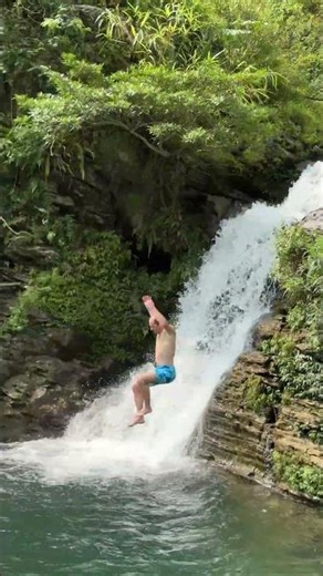 Beautiful butterflies by the water's edge #travel #waterfall