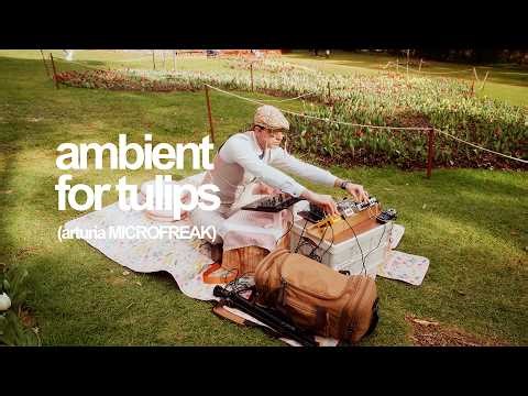 relaxing ambient synth music outdoors in a botanic garden | arturia microfreak