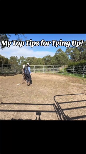 Top Tips for Tying Up! Whether you have a young horse, a horse with a pull back problem, or you would just like to have your horse more settled when you tie up, these will help! 🐴#horsetraining #horsetrainingtips #equinecoaching #horsemanship #horsemanshiptips