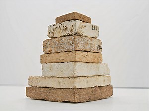 Company Makes Functional Bricks Stronger Than Concrete Using Fast-Growing Mushrooms