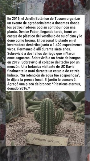 EL CACTUS PLÁSTICO QUE SOBREVIVIÓ AL JARDÍN BOTÁNICO 🌵🏛️😂