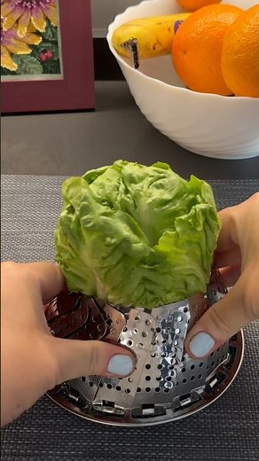 The easiest way to cut iceberg lettuce #asmr #satisfying #lettuce #kitchengadgets #shorts #hdr